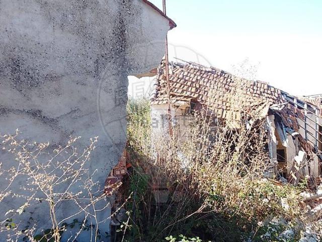 Casa venda em Madalena e Beselga, Tomar