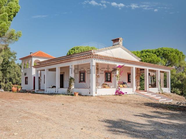 Casa venda em Madalena e Beselga, Tomar
