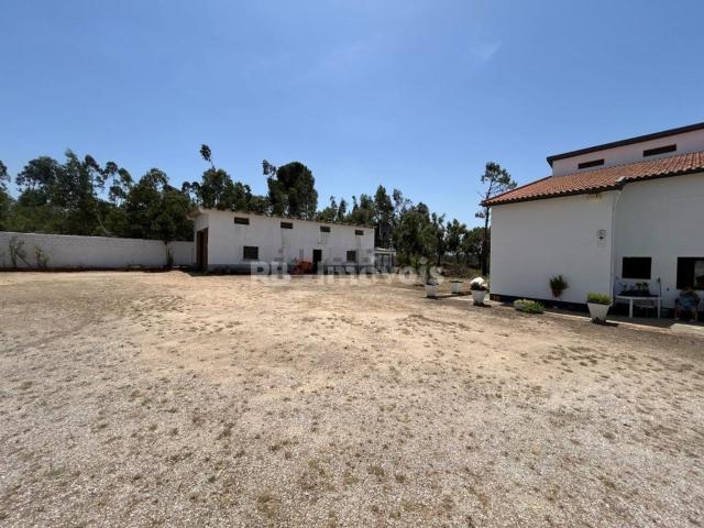 Casa venda em Madalena e Beselga, Tomar