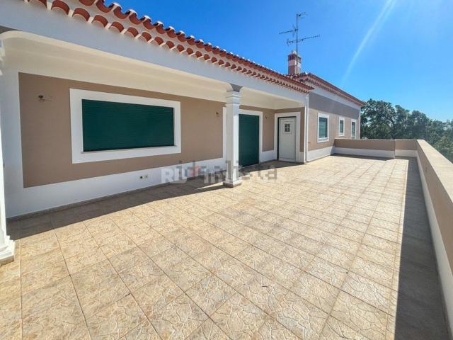 Casa venda em Abrantes, Santarém