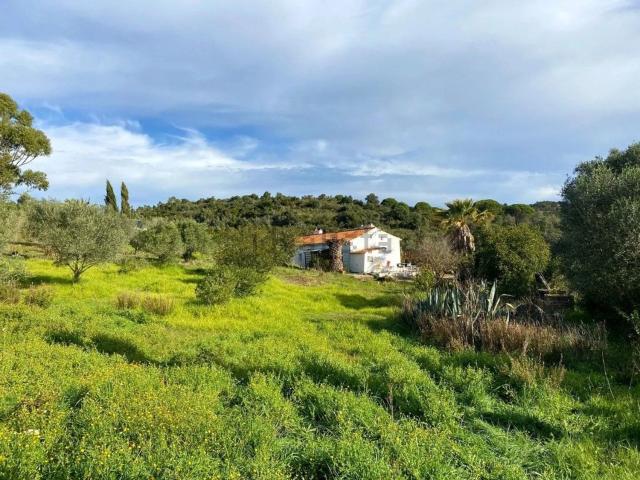 Casa venda em Grândola, Setúbal