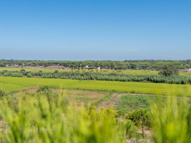 Casa venda em Grândola, Setúbal