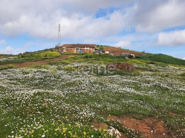 Casa venda em Mexilhoeira Grande, Faro