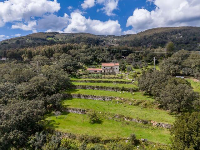 Casa venda em Ceiceira, Monchique