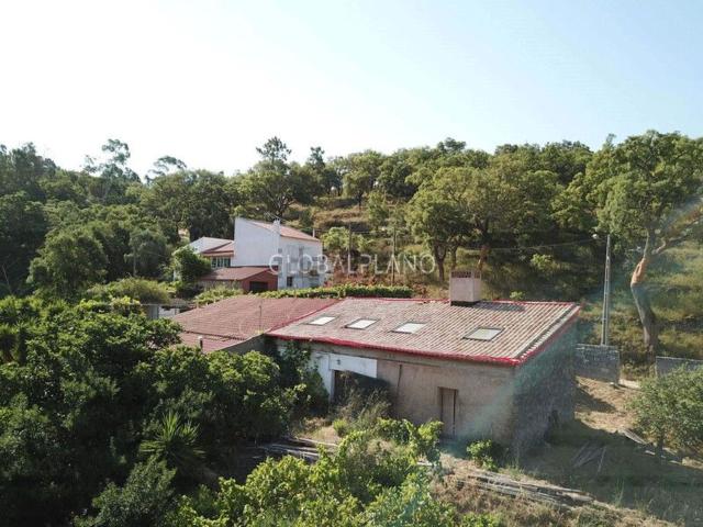 Moradia venda em Monchique, Ceiceira