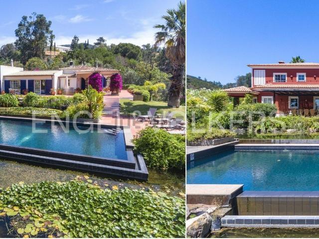 Casa venda em Caldas de Monchique, Monchique