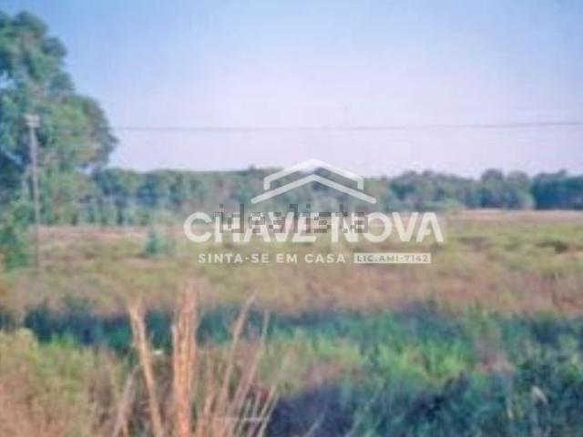 Casa venda em Montenegro