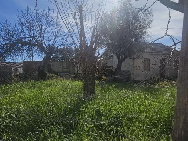 Casa venda em Entroncamento, Nossa Senhora De Fátima