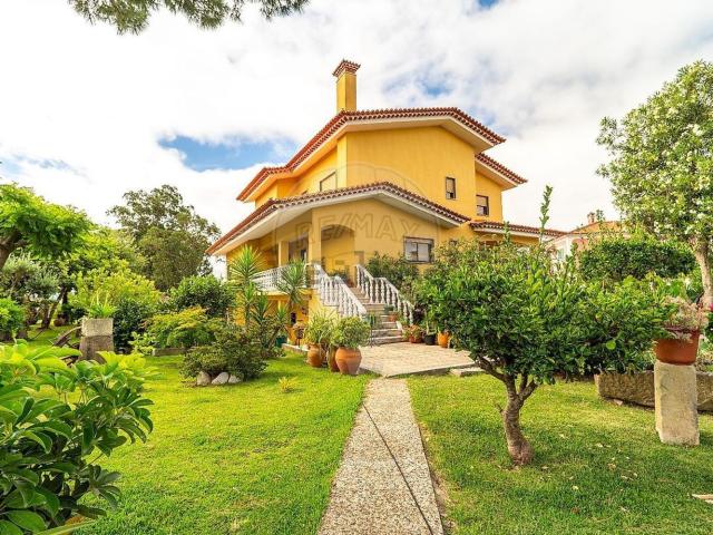 Casa venda em Entroncamento, Nossa Senhora De Fátima