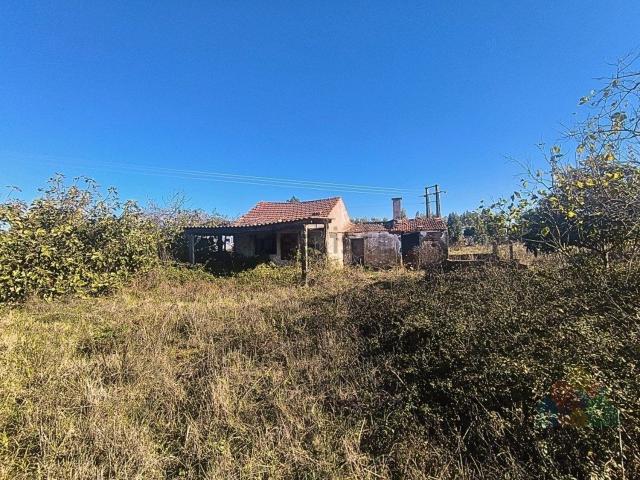 Casa venda em Entroncamento, Nossa Senhora De Fátima