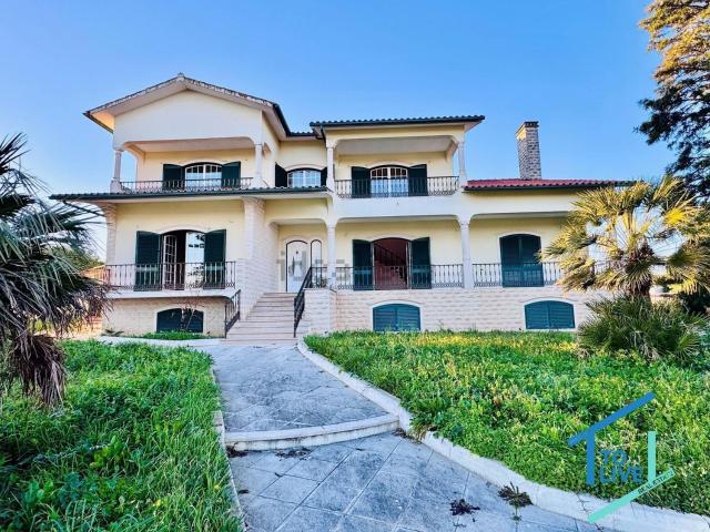 Casa venda em Entroncamento, Nossa Senhora De Fátima