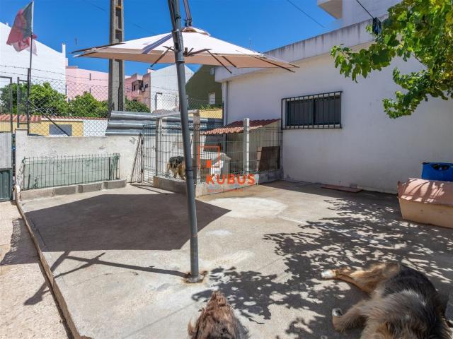 Casa venda em Entroncamento, Nossa Senhora De Fátima