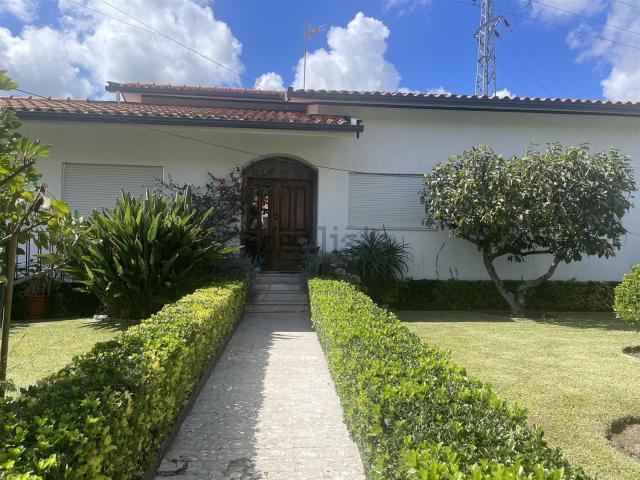 Casa venda em Oliveira De Azeméis, Aveiro