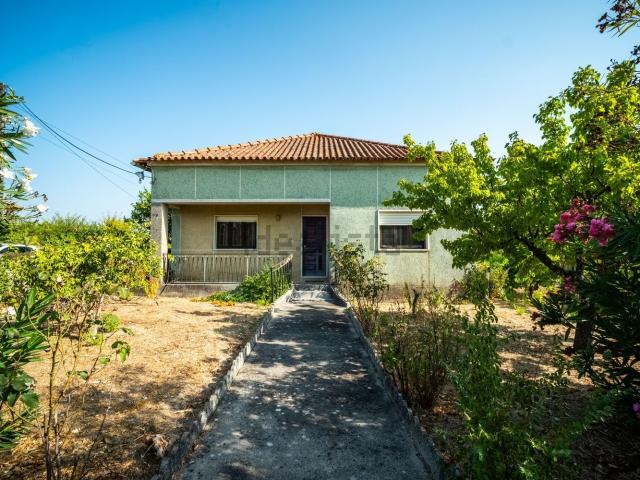 Casa venda em Curvaceiras Pequenas, Tomar