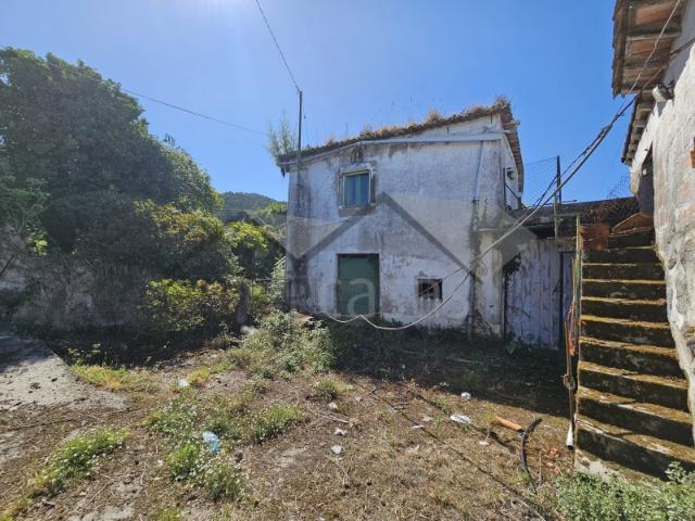 Quinta venda em Areosa, Viana Do Castelo