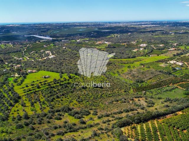 Vivenda venda em Silves, Faro