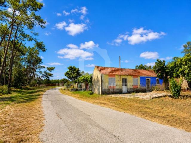 Casa venda em Resgatados, Montemor-o-velho