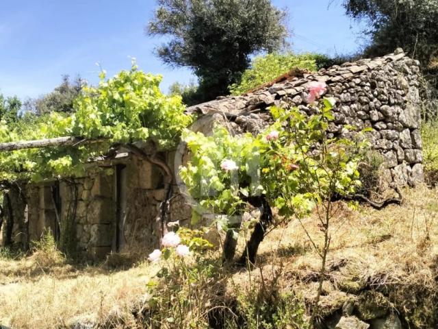 Quinta venda em Guarda, Celorico Da Beira