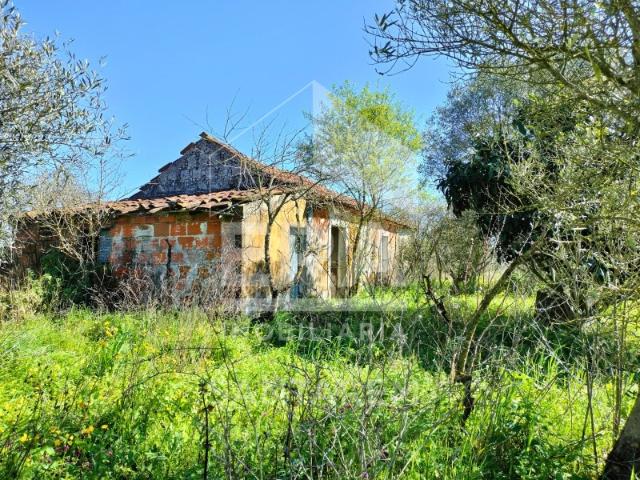 Casa venda em Abitureiras