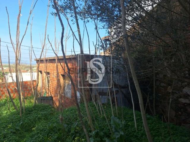 Casa venda em Chamusca e Pinheiro Grande, Chamusca