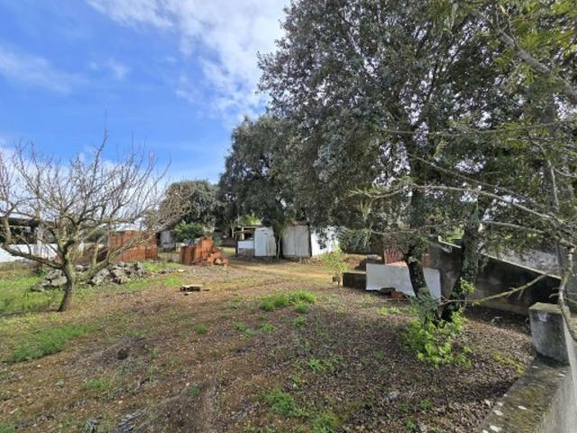 Casa venda em Alcanena, Santarém