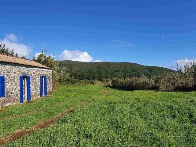 Casa venda em Açores, Pedro Miguel