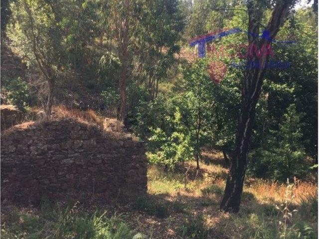 Casa venda em Tapada da Ladeira, Pedrógão Grande