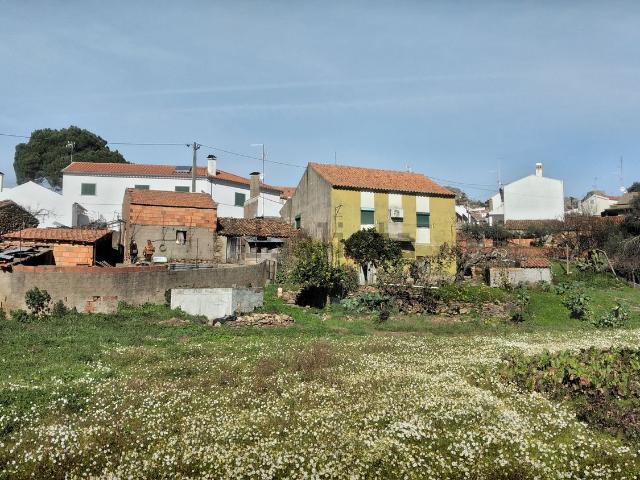 Casa venda em Castelo Branco, Idanha-a-nova