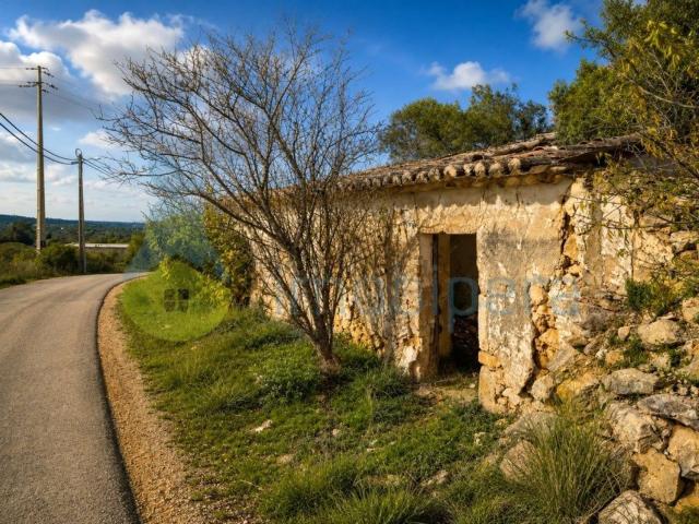 Casa venda em Pêra