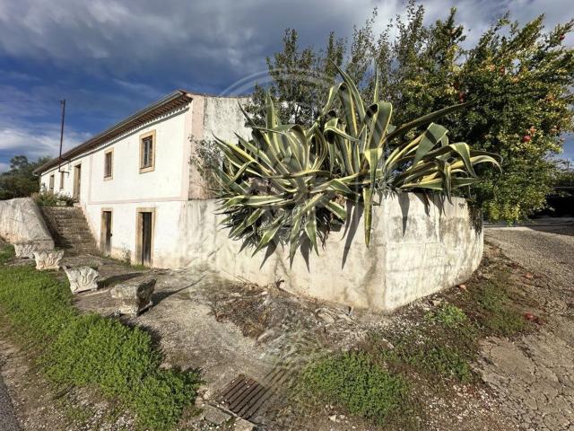 Casa venda em Rego Da Murta, Santarém