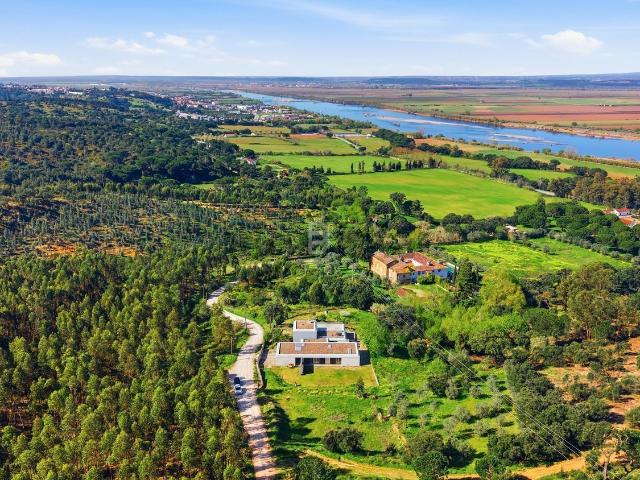 Casa venda em Chamusca e Pinheiro Grande, Chamusca