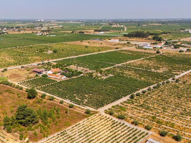 Casa venda em Bairro Margaça, Palmela