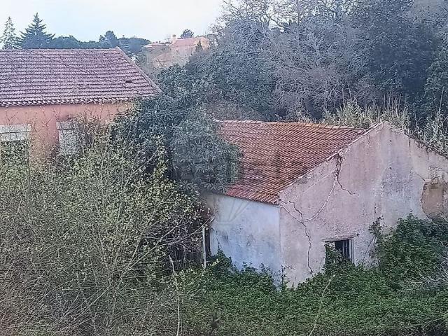 Casa venda em Cartaxo, Santarém