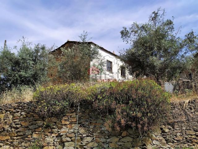 Casa venda em Portela do Fojo-Machio, Pampilhosa Da Serra