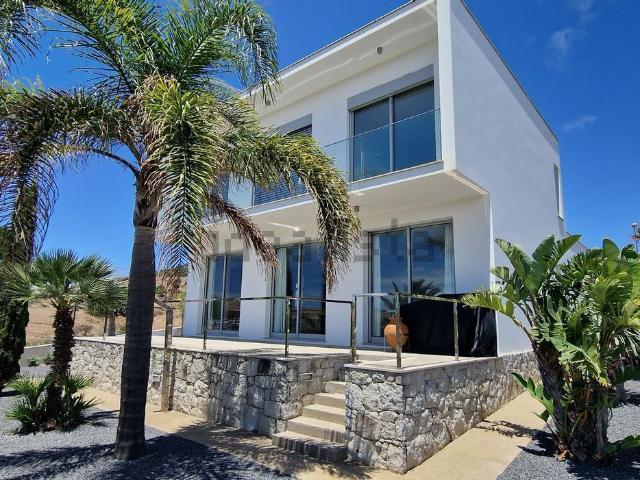 Casa venda em Salões, Ilha Da Madeira