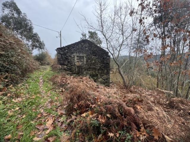 Casa venda em São Pedro Do Sul, Viseu