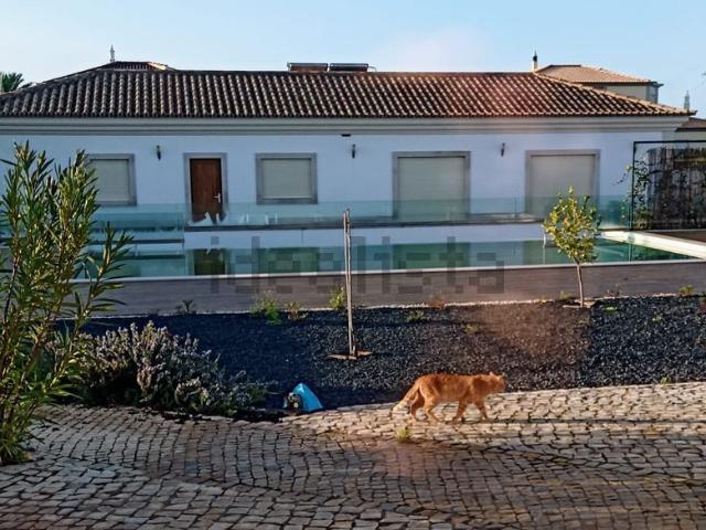 Casa venda em Alecrineira, Olhão
