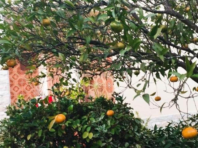 Casa venda em Quinta do Conde, Sesimbra