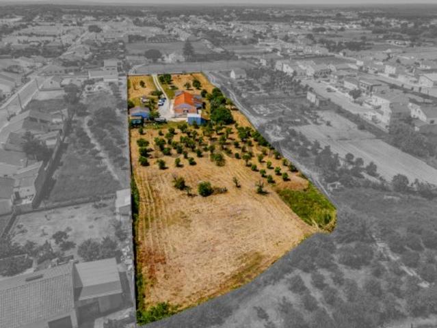 Casa venda em Vendas Novas, Évora