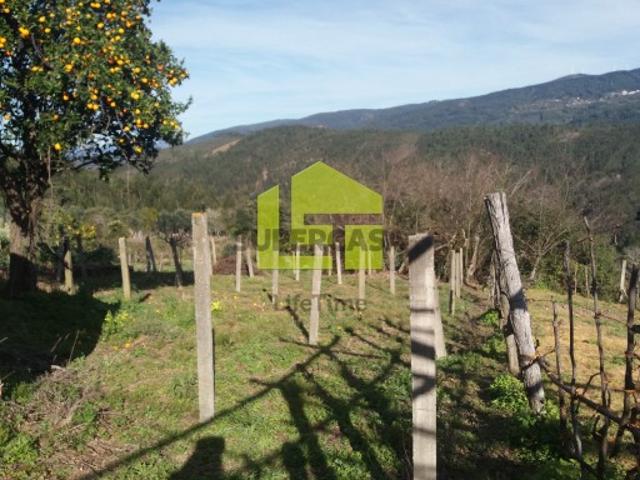 Casa venda em Miranda Do Corvo, Coimbra