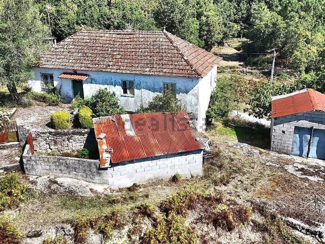 Casa venda em Rio Douro, Cabeceiras de Basto