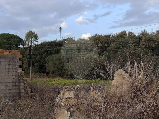 Casa venda em Zona Industrial de Rio Maior, Rio Maior