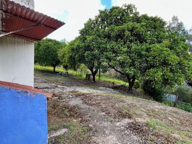 Casa venda em Rio Maior, Santarém