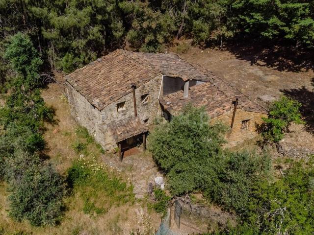 Casa venda em Souto da Casa, Fundão