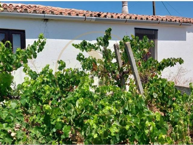 Casa venda em São Bartolomeu De Messines, Faro