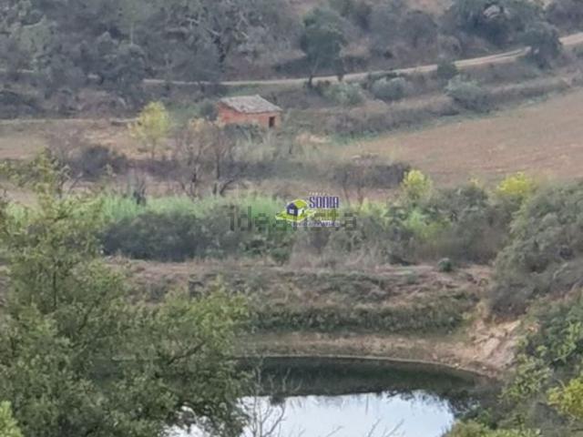 Casa venda em São Bartolomeu De Messines, Faro