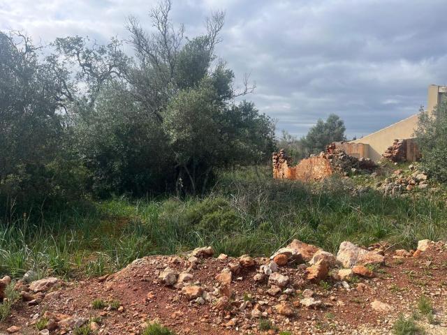 Casa venda em São Bartolomeu De Messines, Faro