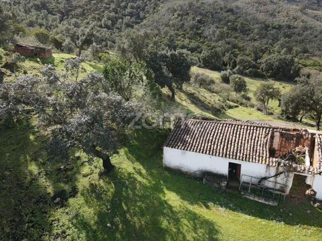 Casa venda em São Bartolomeu De Messines, Faro