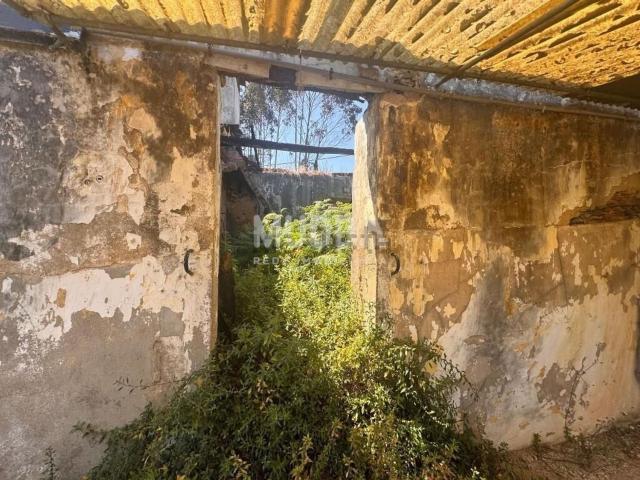 Casa venda em Salgueiral de Baixo, Ovar