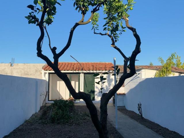Casa alugar em Entroncamento, São João Baptista